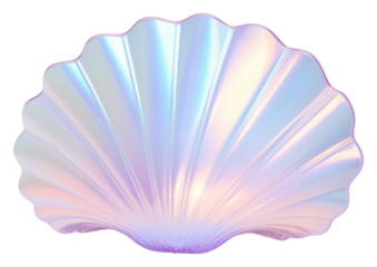 PNG Clam invertebrate translucent fragility.