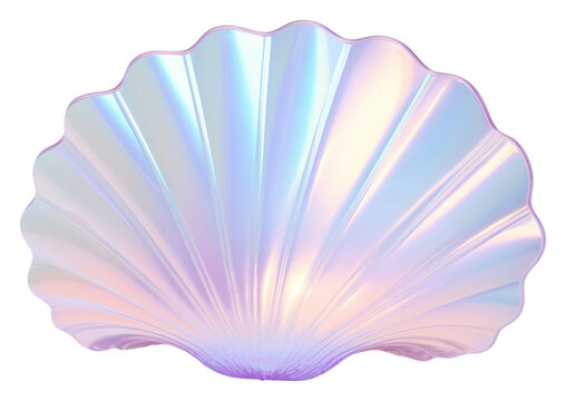 PNG Clam invertebrate translucent fragility.