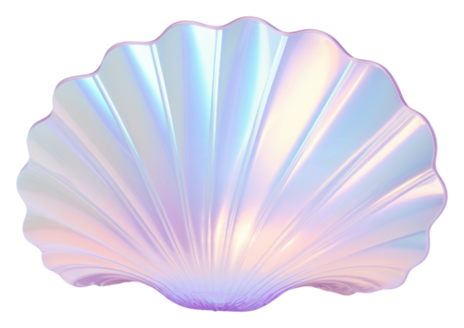 PNG Clam invertebrate translucent fragility.