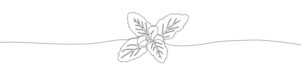 Mint leaf continuous line drawing vector illustration © polgin