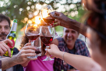 Friends celebrating with wine and beers outdoors sunset picnic gathering lifestyle celebration toast nature