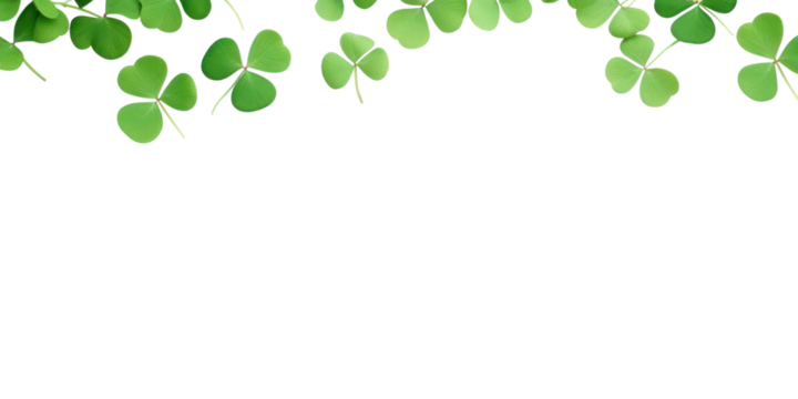 PNG Clover leaves are scattered in the form of a border backgrounds plant leaf.