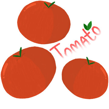 Tomato