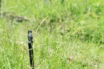 Sprinkler heads installed in the garden for watering plants.