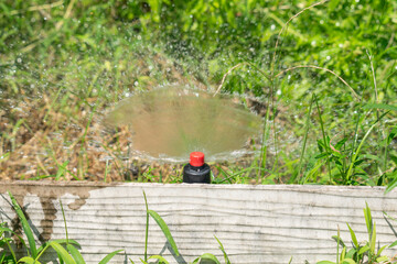 Sprinkler heads installed in the garden for watering plants.