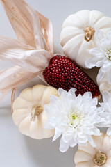 White decorative pumpkins, decorative corn and white chrysanthemums on gray background. Concept: Thanksgiving, autumn background. Close-up, vertical, flat lay.