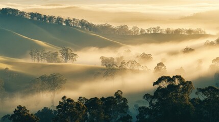 Obraz premium Rolling hills hidden under a blanket of fog at dawn, creating a dreamy and mysterious early morning landscape