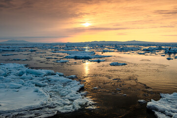 Sunrise at sea, an eagle resting on drift ice