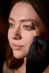 Obraz premium Eyebrow Styling Techniques Using Precision Tools During a Comprehensive Beauty Session