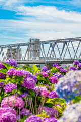 Fototapete bei efototapeten.de bestellen   