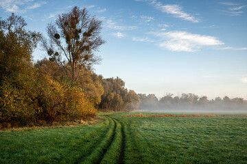 Fototapeta premium Heide- und Wiesenlandschaft