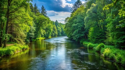 Obraz premium River winding through forest during summer