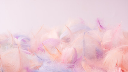 Colorful feather background, top view.