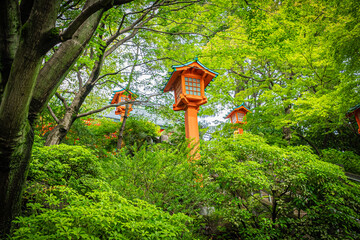 東京　夏の放生寺