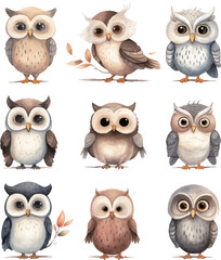 Fototapeta premium set of owls