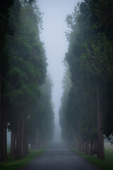 Fototapeta premium 北海道 トラピスト大修道院の風景