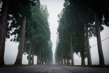 北海道　トラピスト大修道院の風景
