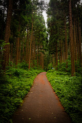 Fototapeta premium 北海道 トラピスト大修道院の風景
