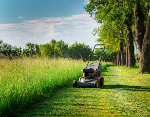 Lawn mower cutting grass on a green meadow in summer