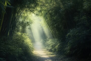 Obraz premium Path through a dense bamboo forest with sunlight streaming through the leaves