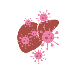 liver with hepatitis virus illustration