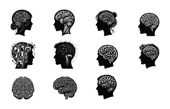 Human head brain silhouette on white background, human brain vector, brain vector illustration