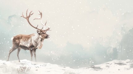 Solitary reindeer with intricate antlers stands on a snowy tundra surrounded by soft muted winter tones