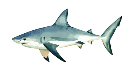 Watercolor shark on a white background. Scary jaws and angry sharks swimming in the ocean. Inhabitant in the waters of the oceans. Vector illustration