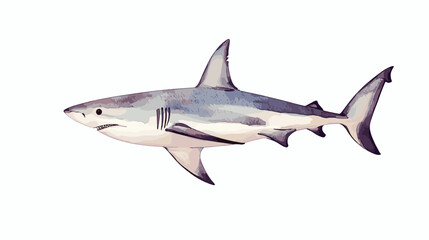 Fototapeta premium Watercolor shark on a white background. Scary jaws and angry sharks swimming in the ocean. Inhabitant in the waters of the oceans. Vector illustration