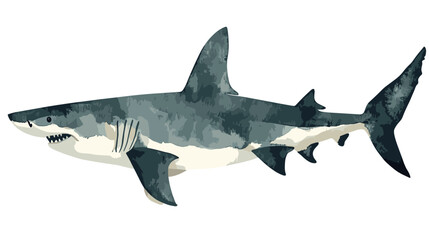 Fototapeta premium Watercolor shark on a white background. Scary jaws and angry sharks swimming in the ocean. Inhabitant in the waters of the oceans. Vector illustration