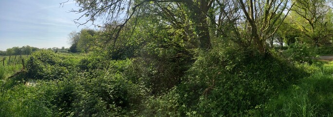 La campagne au printemps à Briec en Bretagne Cornouailles	