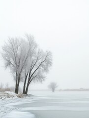 Fototapeta premium Wintery Landscape with Frosty Trees.