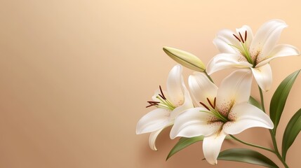 Fototapeta premium Beautiful Pink Lilies on Light Brown Background with Soft Shadows Natural Light