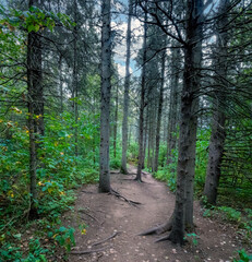 Hiking the Sentier Eucher trail, La Baie, Saguenay fjord, Quebec, Canada