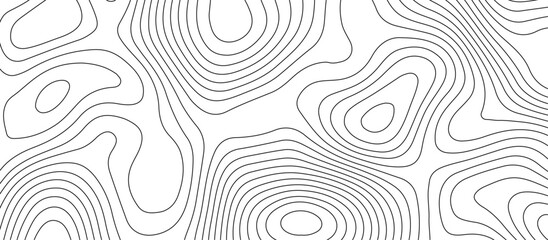 Abstract white wave paper curved reliefs background design. The black on white contours topography stylized relief diagram line wave carve pattern background.