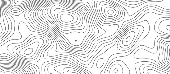 Obraz premium Abstract white wave paper curved reliefs background design. The black on white contours topography stylized relief diagram line wave carve pattern background.