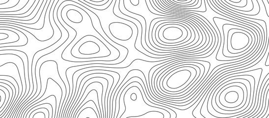 Fototapeta premium Abstract white wave paper curved reliefs background design. The black on white contours topography stylized relief diagram line wave carve pattern background.