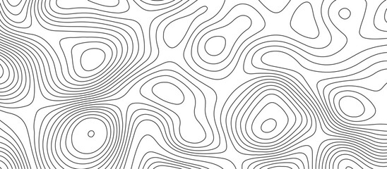 Fototapeta premium Abstract white wave paper curved reliefs background design. The black on white contours topography stylized relief diagram line wave carve pattern background.
