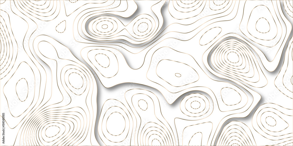 Poster Abstract white colorful gradient Topographic line map background. Contour elevation topographic and textured Background Modern design with White background with topographic wavy pate for decoration.	