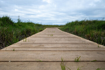 Obraz premium close-up of a wooden path made of planks running across the lawn on the grass into the distance
