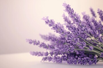 Fototapeta premium Beautiful Lavender Bouquet on White Surface
