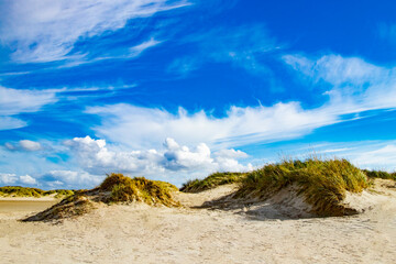 beautiful dune landscape in the sunshine in the North Sea in Denmark