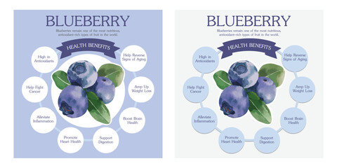 Blueberry health benefits and nutrition infographics. Superfood Vaccinium berry nutrients and vitamins information. Healthy detox natural product info.