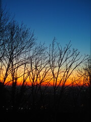 Obraz premium OLYMPUS DIGITAL CAMERA