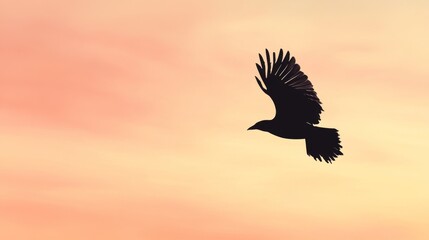 Fototapeta premium A black bird silhouette flies against a soft, pink sunset.
