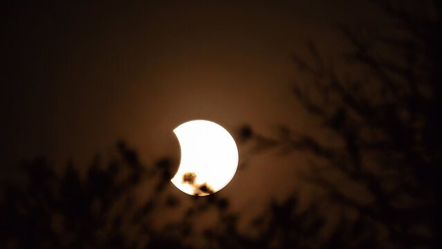 Partial solar eclipse