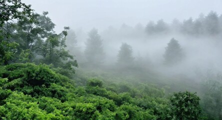 Beautiful image of nature