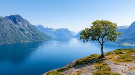 Obraz premium Lone Tree Overlooking Fjord Mountains Norway Scenery