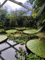greenhouse at the botanical garden aarhus denmark