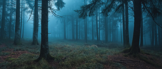 Naklejka premium Mysterious forest with tall pine trees in dense fog creating a moody atmosphere, evoking a sense of mystery and solitude in nature.